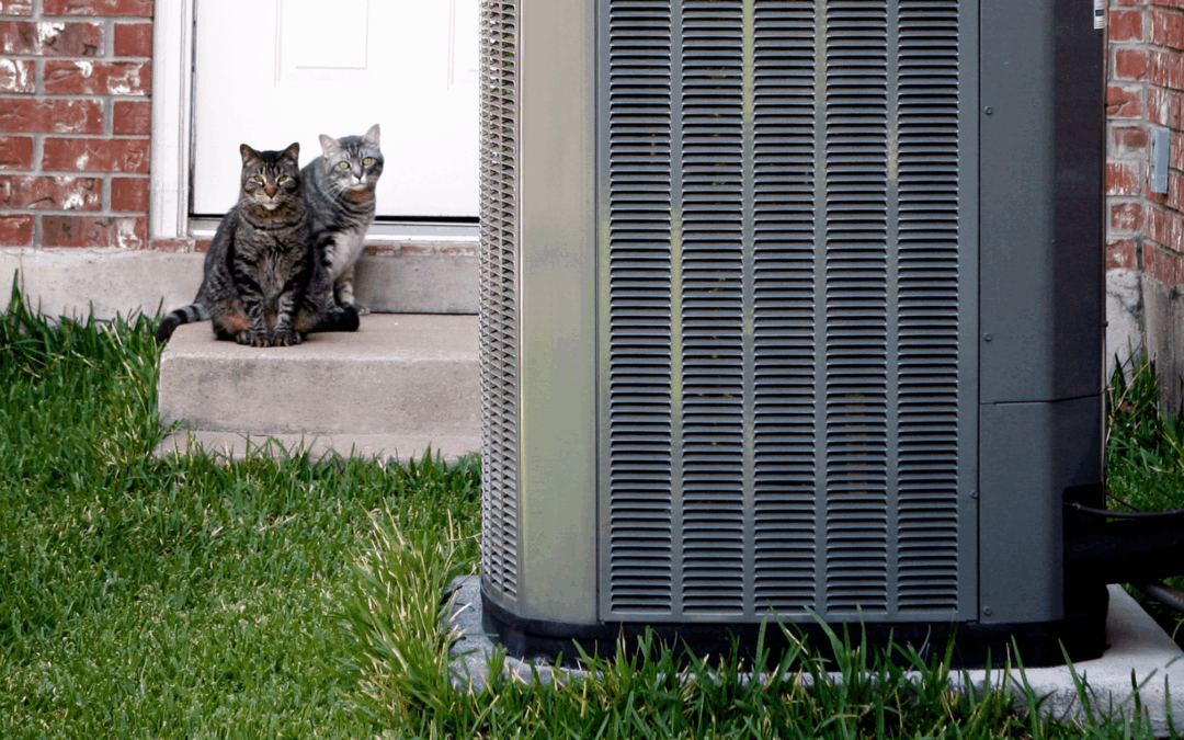 Prevent HVAC Breakdowns with a Quick Pre-Fall Checkup