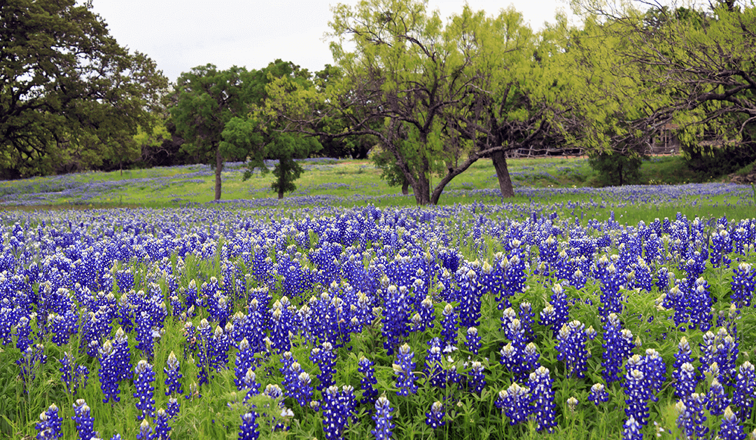 Spring Is Coming: Signs Your HVAC System Needs Service Now